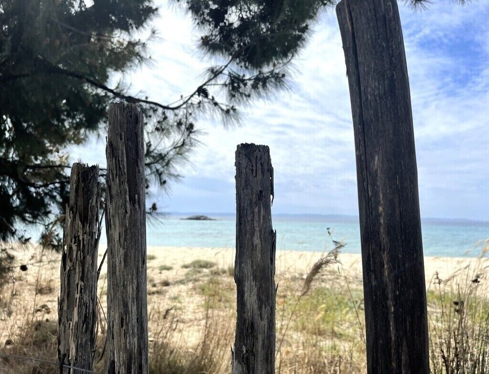 Photo 40