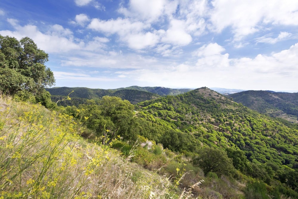 Pineda De Mar Vacations - Hotel Merce - Property Image 12