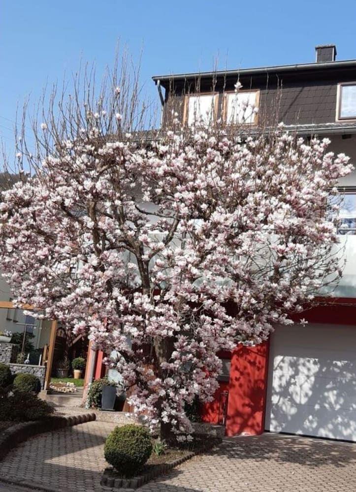 Holiday Apartment Magnolia