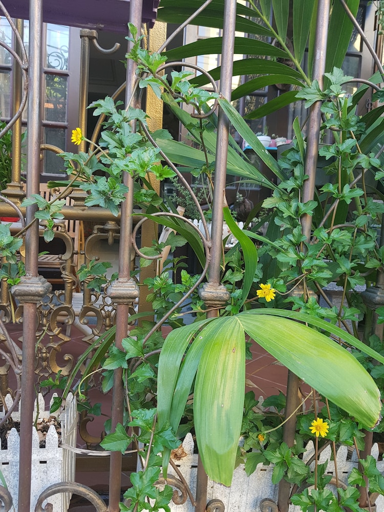 Little Home Hostel Nha Trang