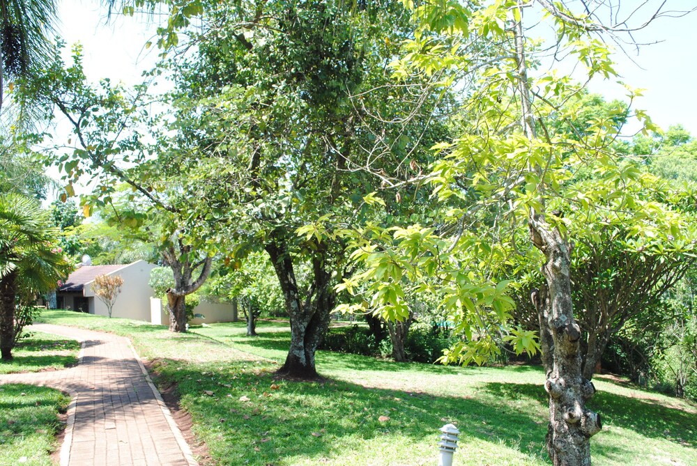Eagle's Nest Chalets