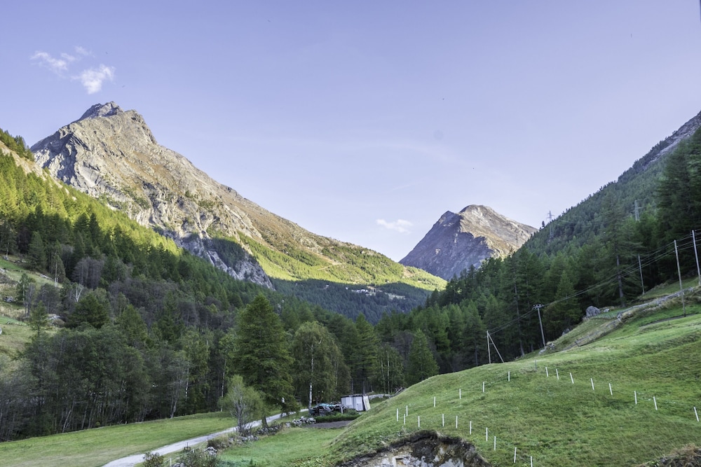 Pension am Waldegg