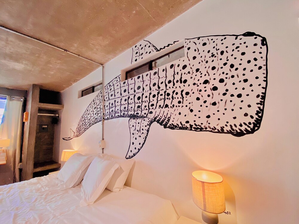 Perro Surfero Hotel Boutique - Todos Santos, BCS