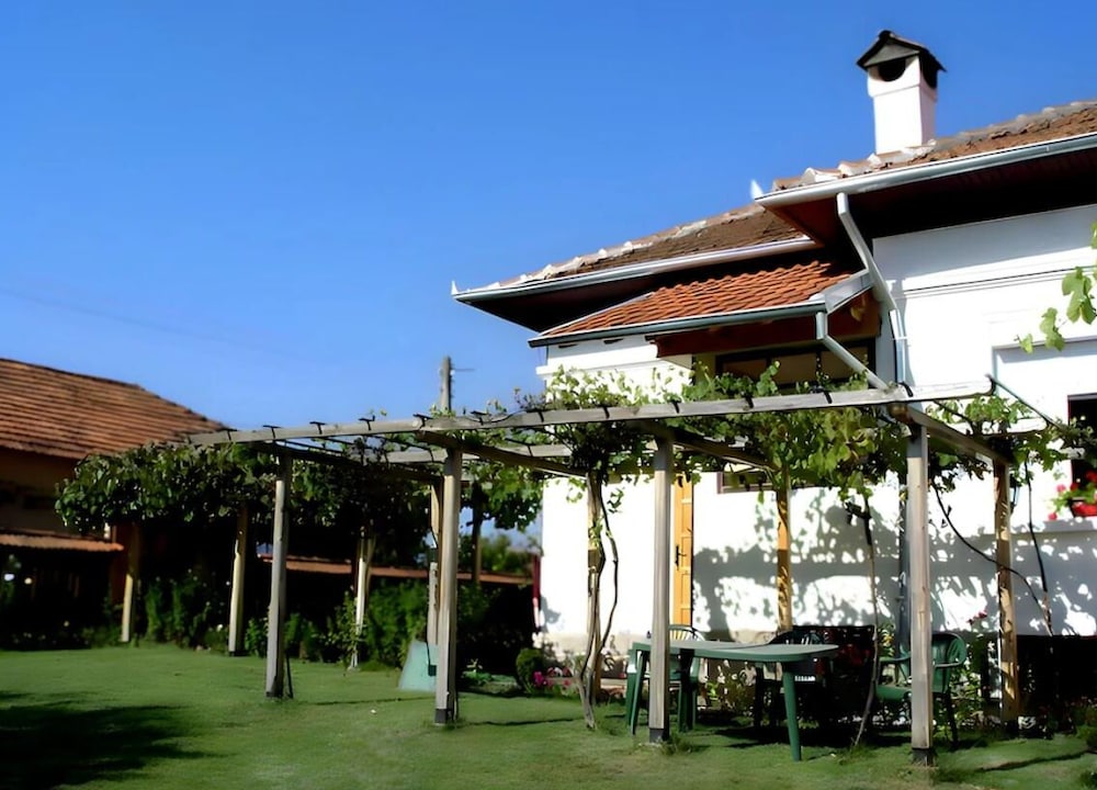 Grandpa House