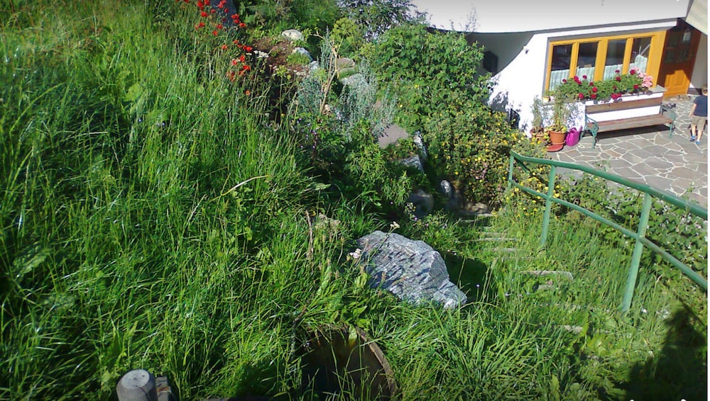 Photo 17