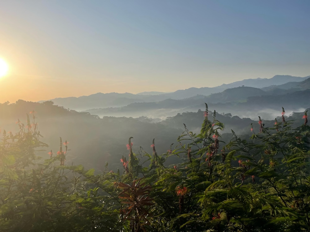 Bwindi Neckview Lodge