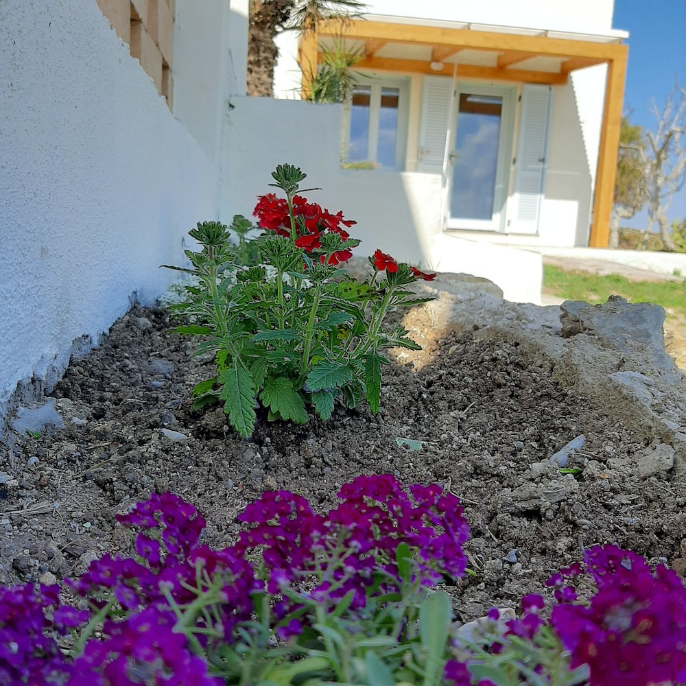 Photo 44