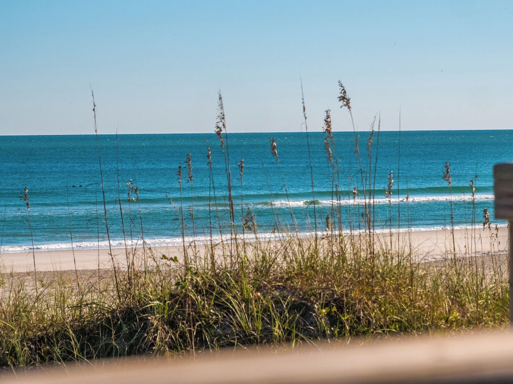 Blue Crab by Topsail Realty