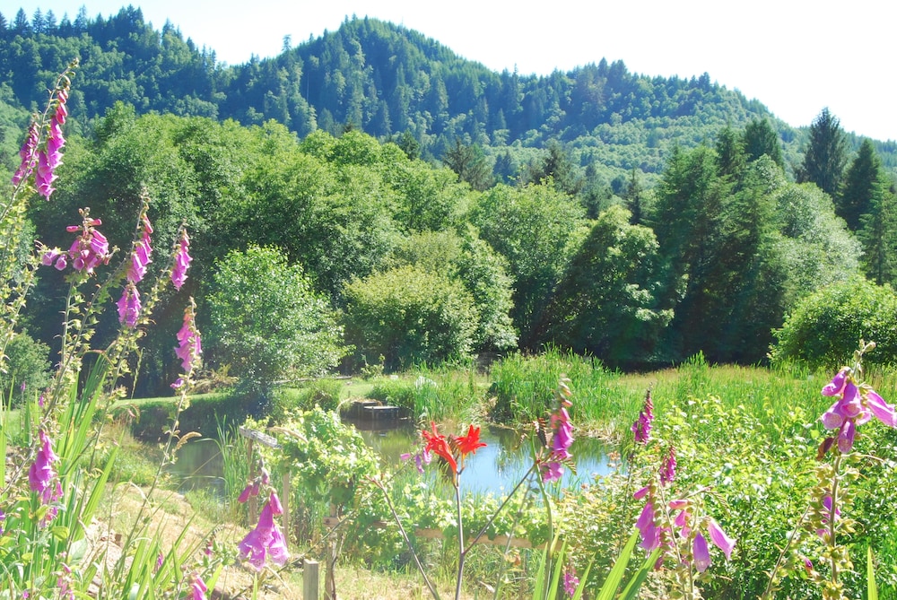 Lucky Mud Inn and Disc Golf Resort