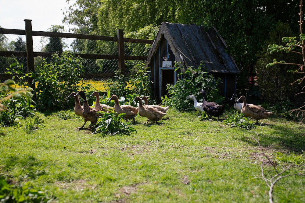 Brookhall Cottages
