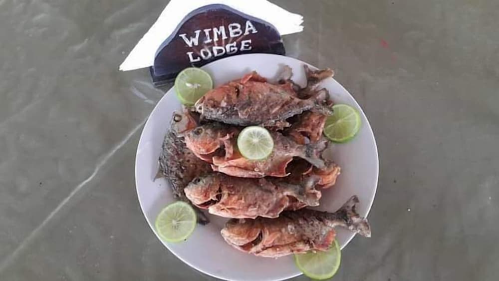 Wimba Jungle Lodge