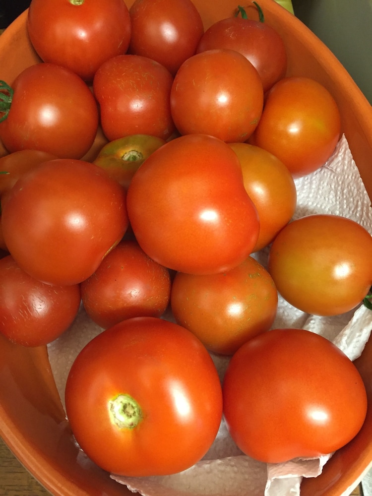 Oban Vacations - Kathmore Guest House - Property Image 15