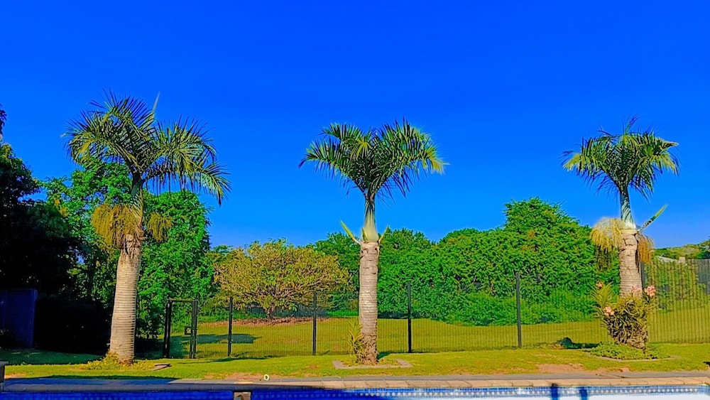 Witpeer Guesthouse view 2