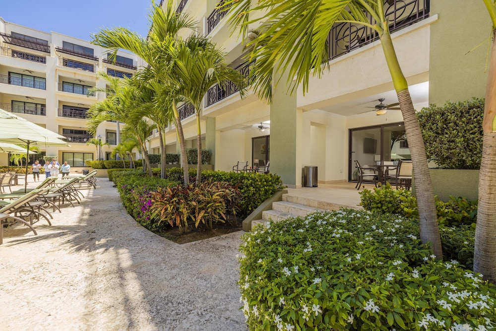 Palm Aruba Condos