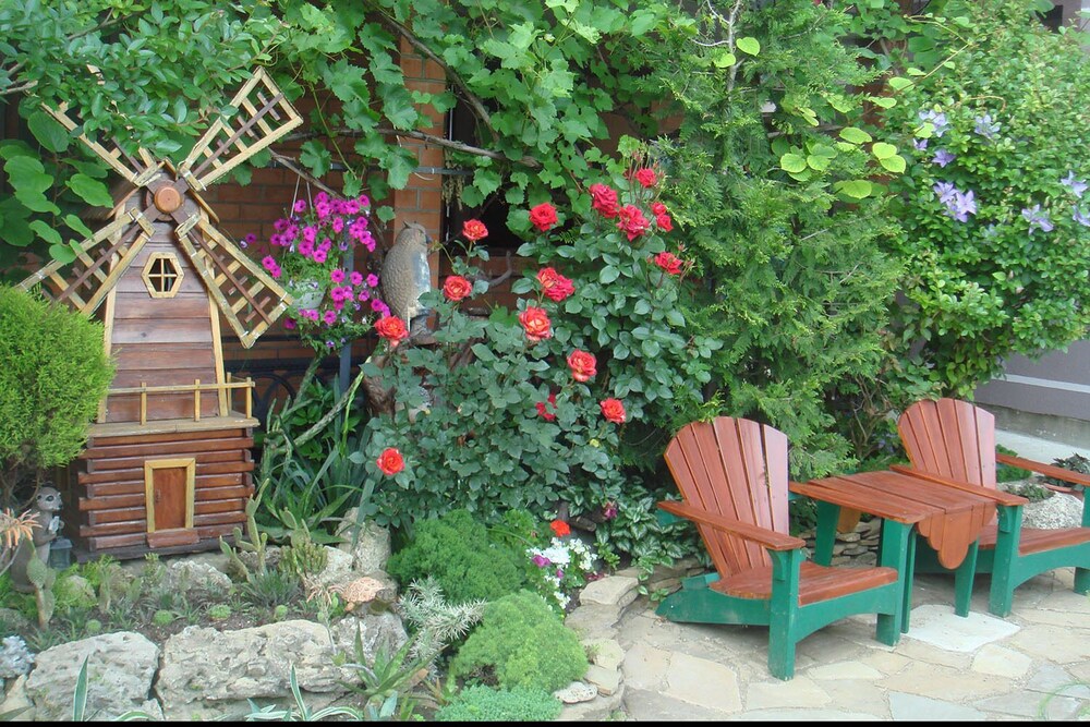 Photo 24