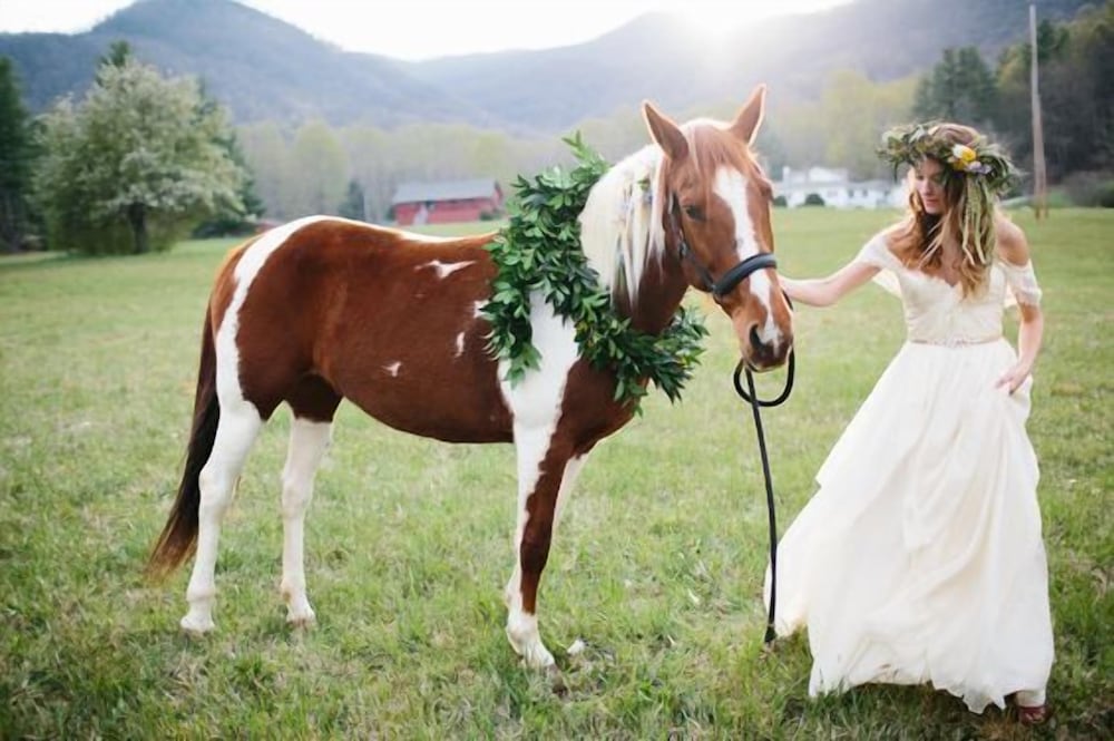 Pisgah View Ranch