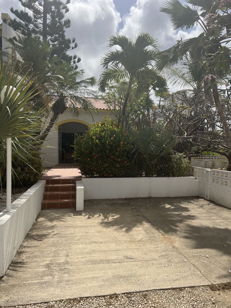 Divers Paradise Bonaire