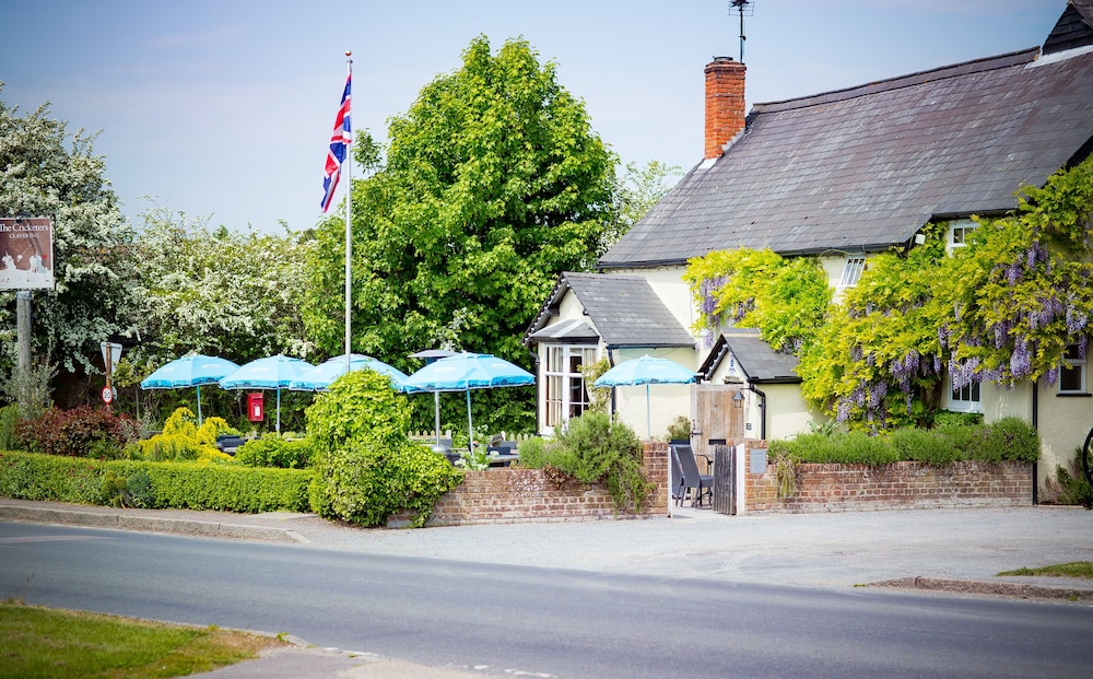 The Cricketers