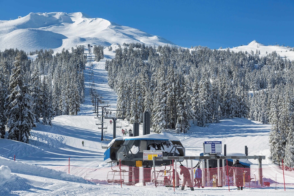 Skyliner Summit Chalet