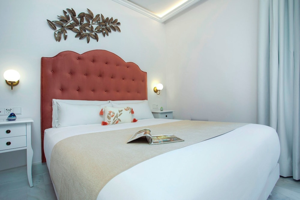 Exclusive Apartment in Seville.plaza del Museo 001