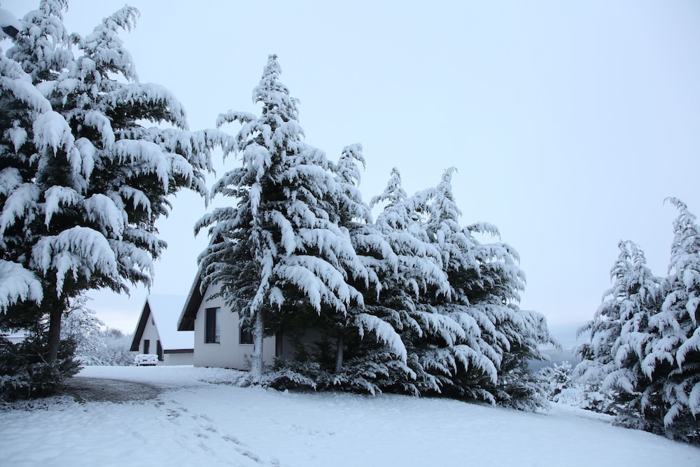 Bolu Yaban Yasam Chalets