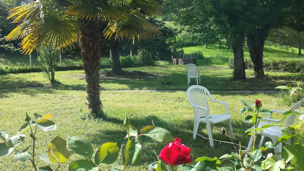 Le Curieux