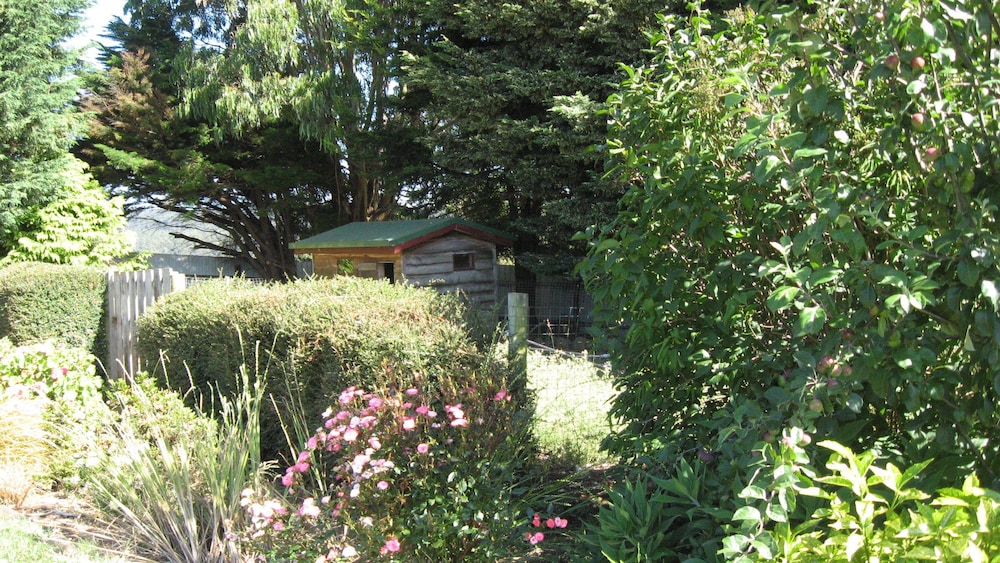 Blueberry B & B