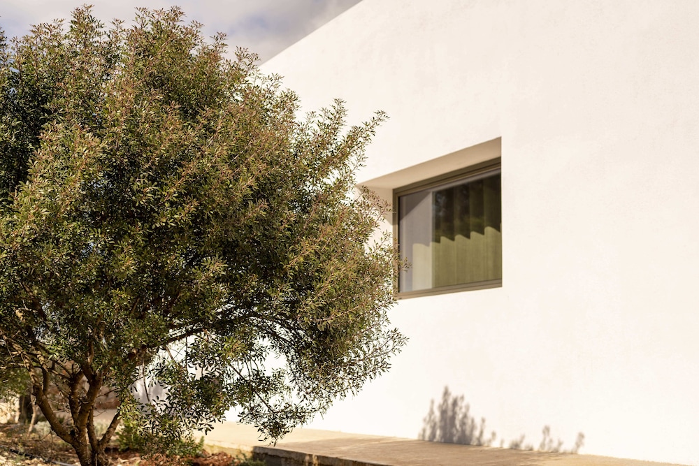 Botanico Villa & Suites