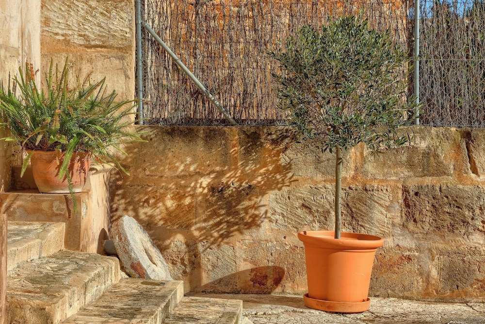 Finca Son Valls