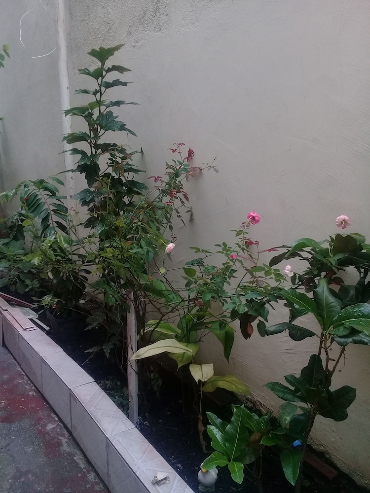 Hostel Residential Inn