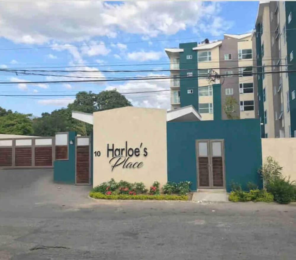 Modern 1BR Condo in Kingston