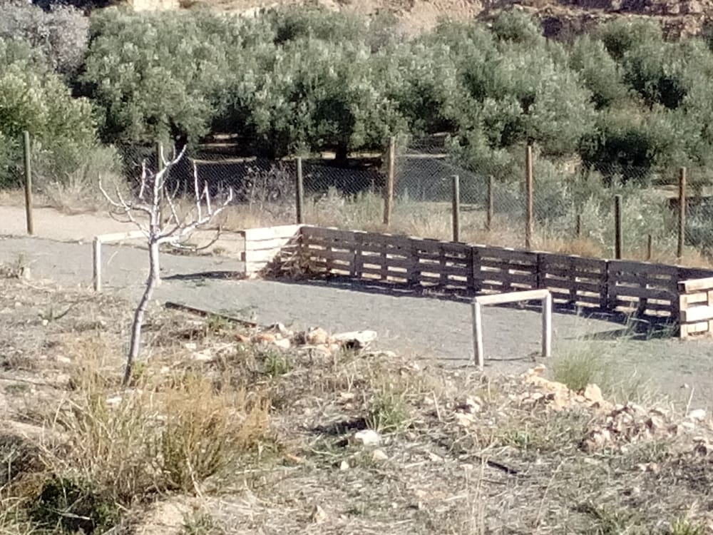 Camping Almocita