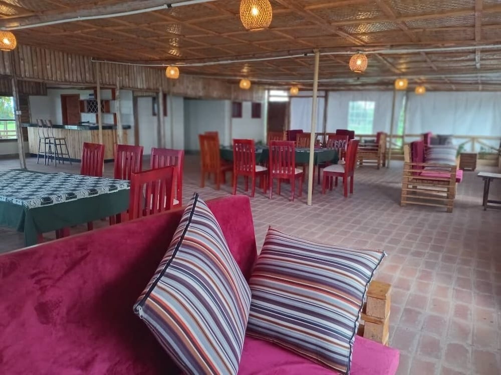 ngirisi hill silverback lodge-bwindi