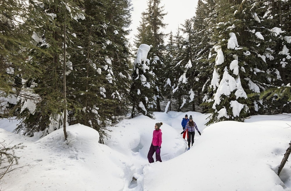 Snow Creek Village #48 By Bear Country-2