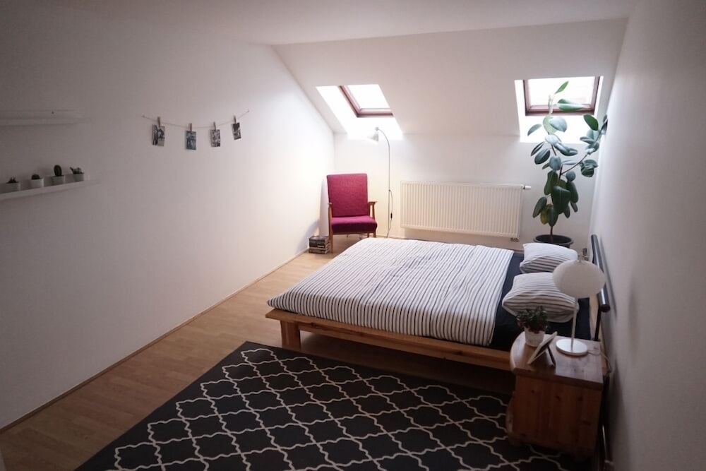 Attic Flat With Amazing Terrace