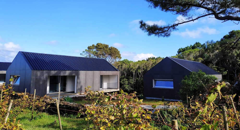 Casas do Morgadio - azorean wine & lodge