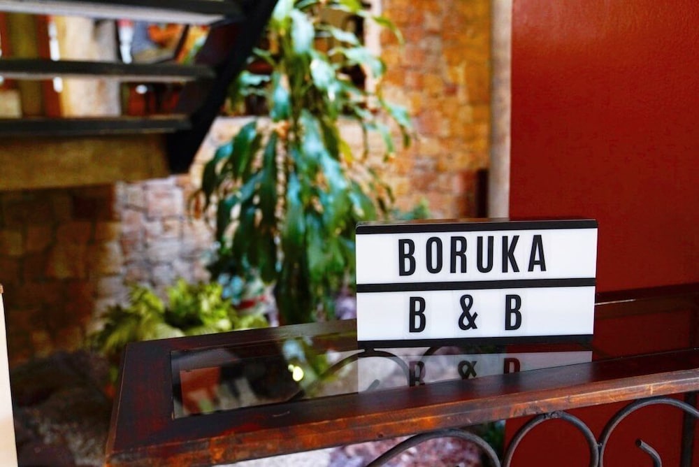 Boruka BnB view 2