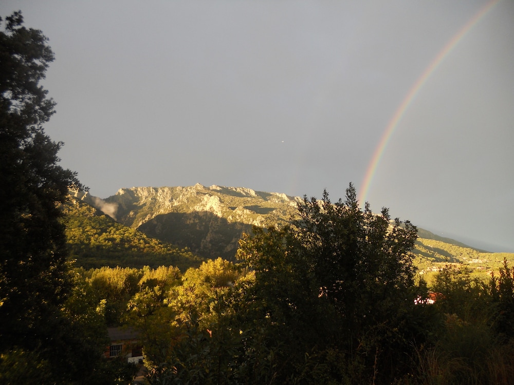 Photo 46