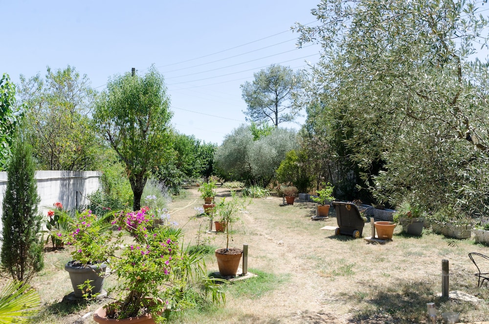 Photo 13