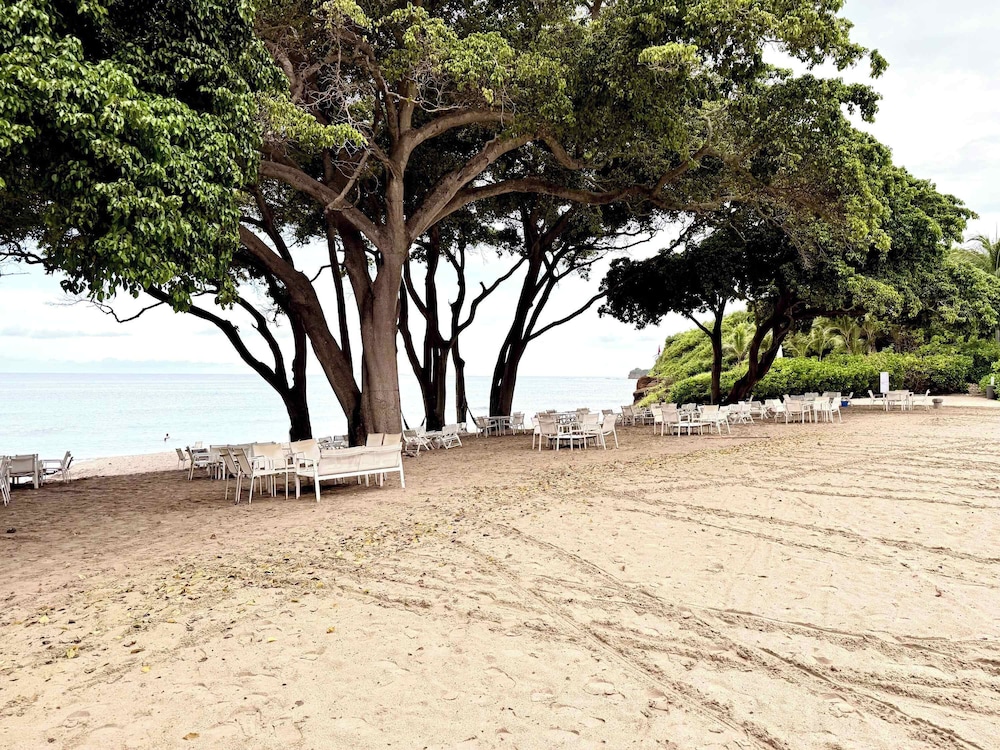 Bolongo: Your Exclusive Oceanfront Escape