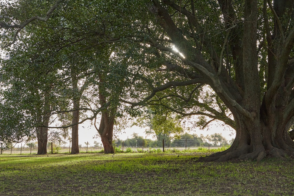 Hestia at San Antonio de Areco