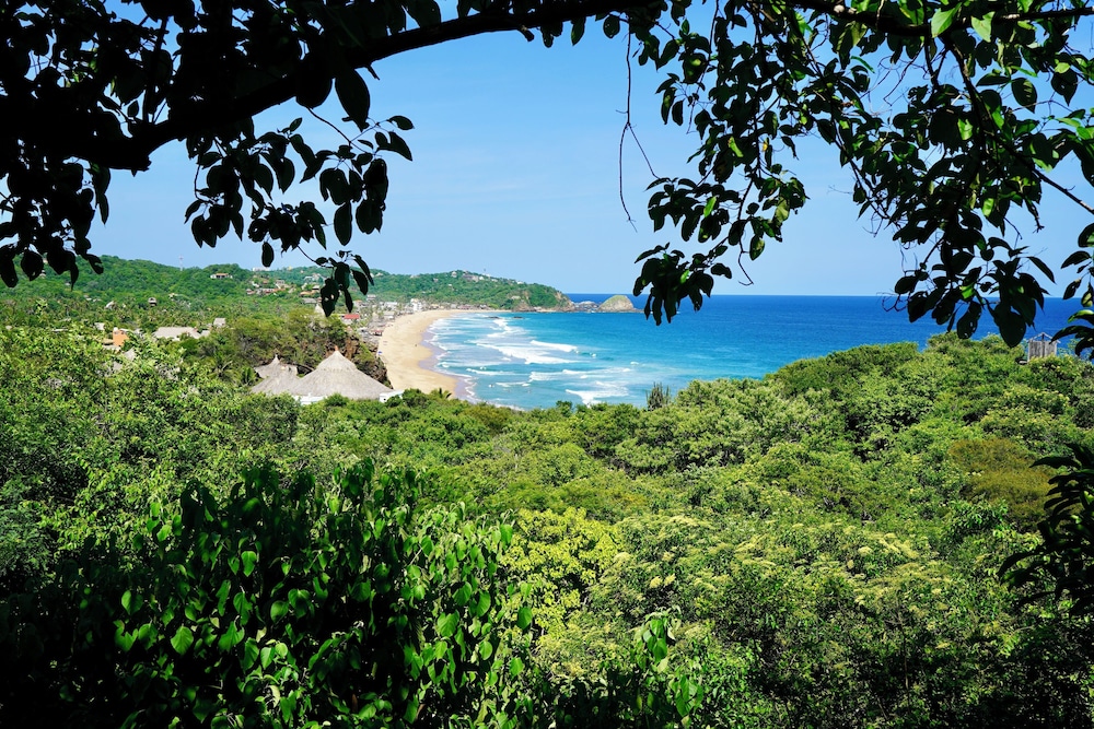 El Guayacan