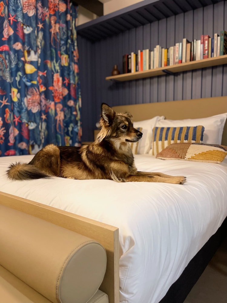 Le Havre Vacations - Jost Hotel Le Havre Gare - Property Image 49