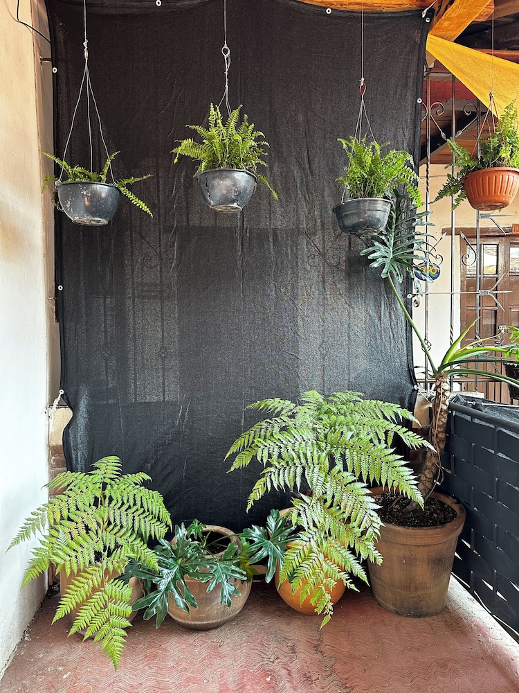 Outdoor Space