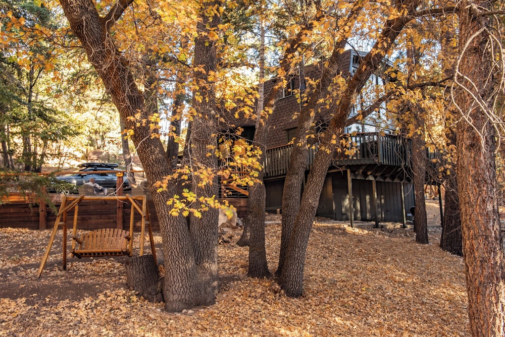 Treehouse