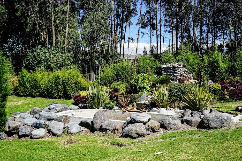 Ficus Lodge