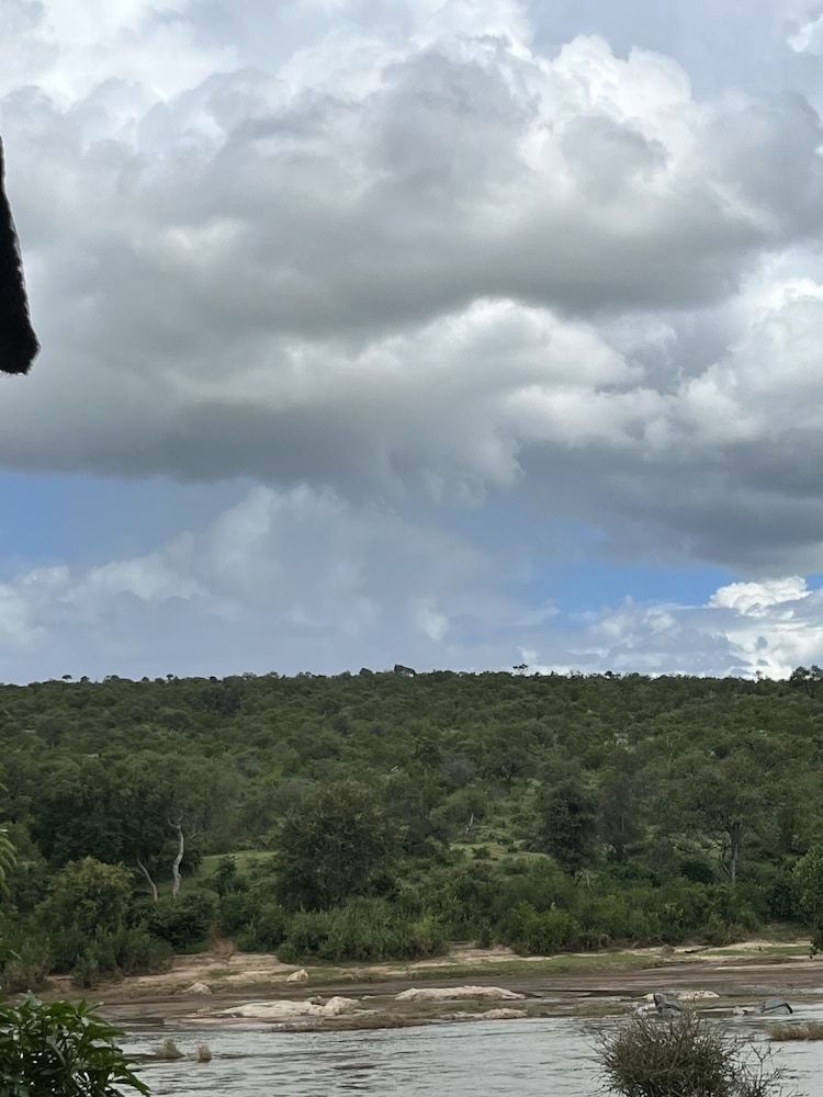 Nyati Safari Lodge