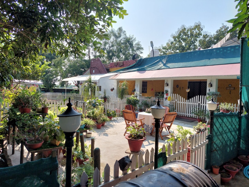 Koko's Farm