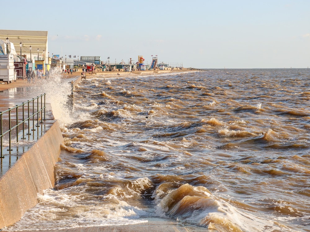 See The Sea