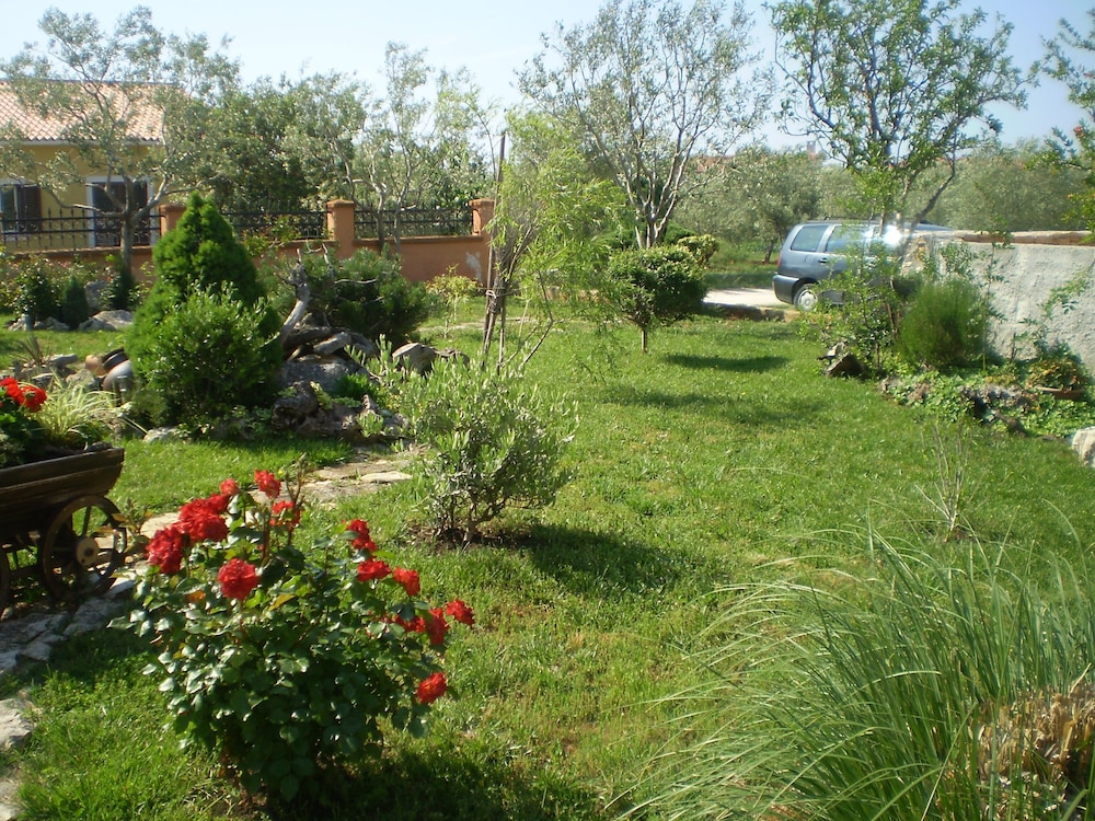 Photo 12